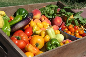 Vegetable basket w fruit-04